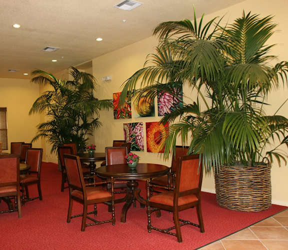 Living room couch-Senior Living at Matthew Henson Apartments Phoenix, AZ