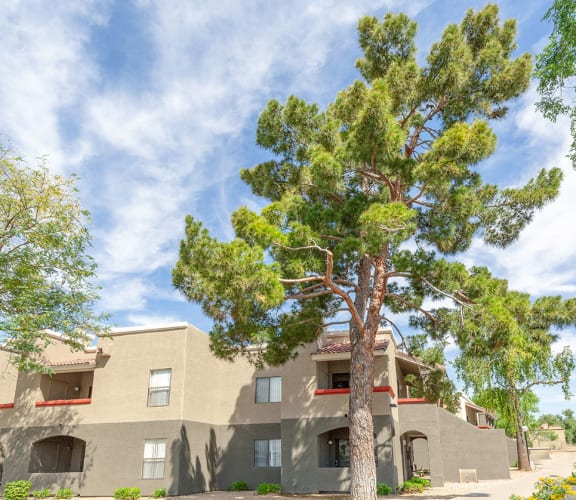 Apartments in Glendale, AZ Ranchwood Apartments