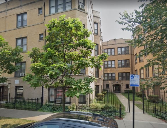 a tree in front of an apartment building