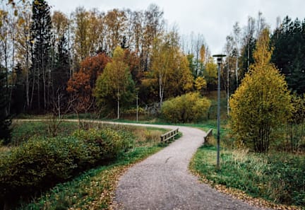 A gravel path winds through a forest in autumn.
