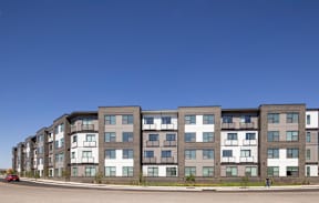 A large building with a lot of windows is in the background.