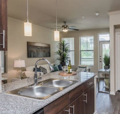 Chef-Inspired Kitchens at Heights West 11th, Texas, 77008