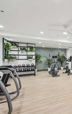 A gym with treadmills, weights, and other exercise equipment.