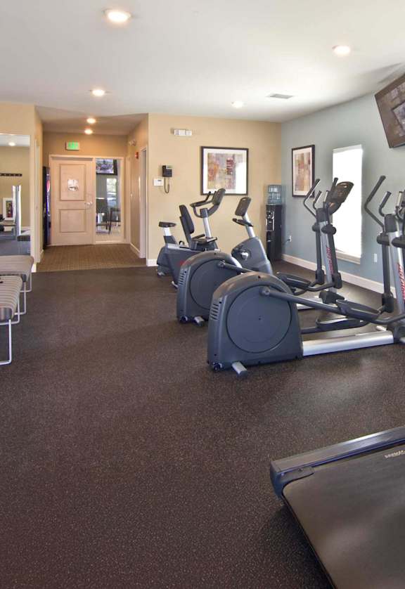 A gym with treadmills, elliptical machines, and weights.