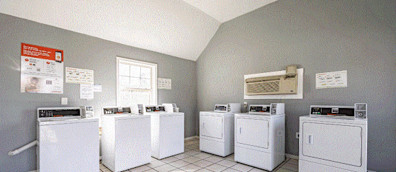 a row of washers and dryers in a laundry room