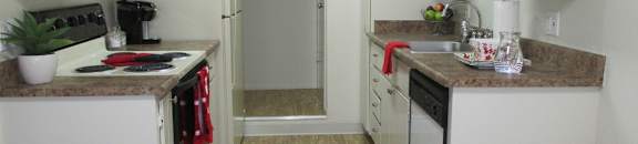 Kitchen Setting