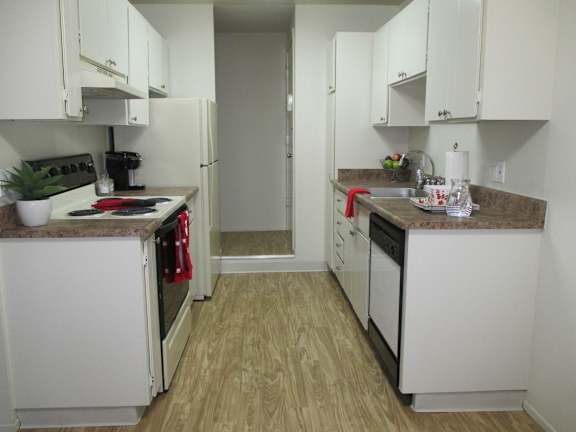 Kitchen Setting