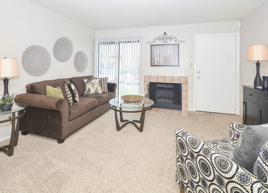 Wood Burning Fireplace in the Living Room