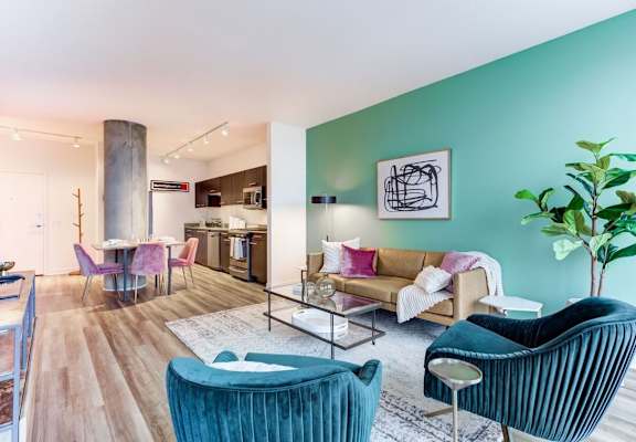 A living room with a blue chair and a green plant.