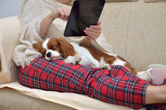 a woman in a white sweater is laying on a couch with her dog