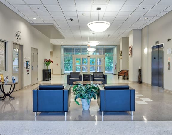 a lobby with blue couches and chairs and a table with a plant