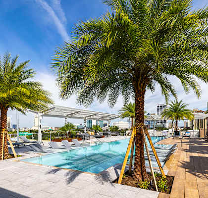 A pool surrounded by palm trees and wooden decking.