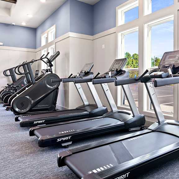 a row of dumbbells on a rack in a gym