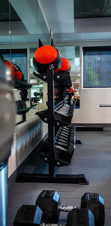 a row of weights in the gym at a gymkhana gym