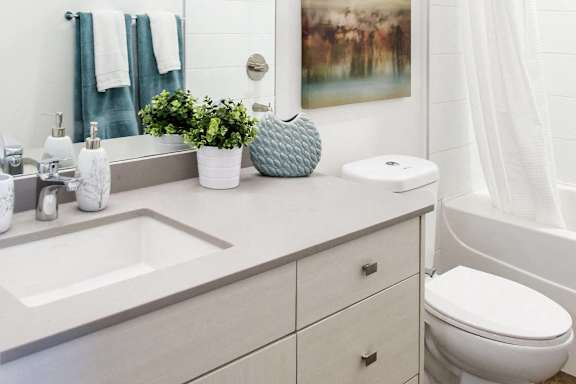 a bathroom with a sink and a toilet and a mirror