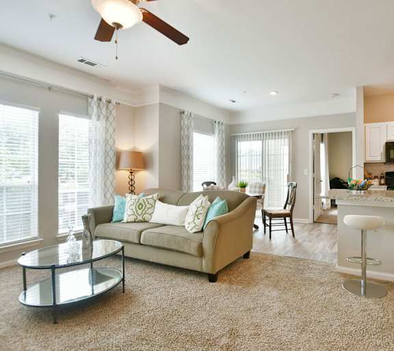 Living Area at Braxton Woods Lake, South Carolina, 29607