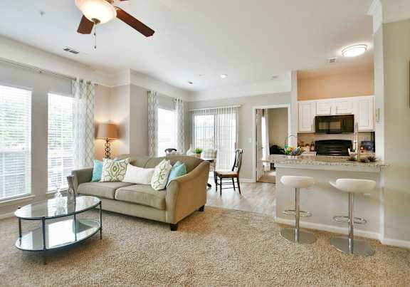 Living Area and Kitchen at Braxton Woods Lake, Greenville, 29607