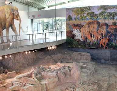 A museum exhibit with a life-sized elephant statue and a mural of elephants.