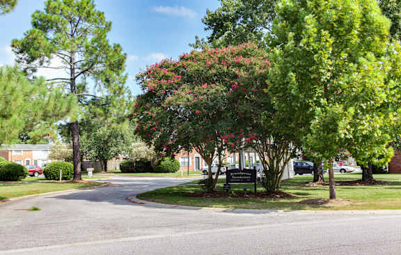 A tree with red flowers is in the middle of a street.