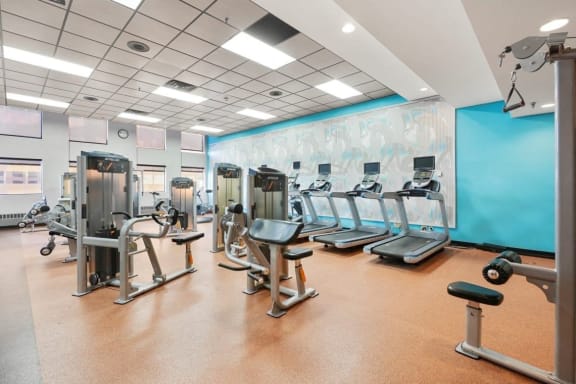 a gym with a row of exercise machines and a blue wall