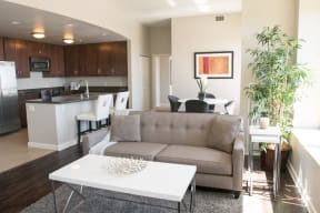 Downtown Sacramento CA Apartments-Penthouses at Capitol Park Living Room