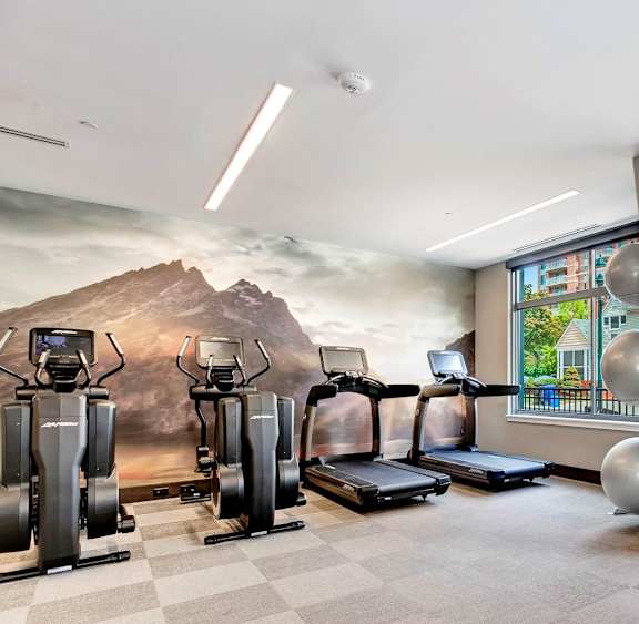Fitness Center With Updated Equipment at The Brody, Bethesda
