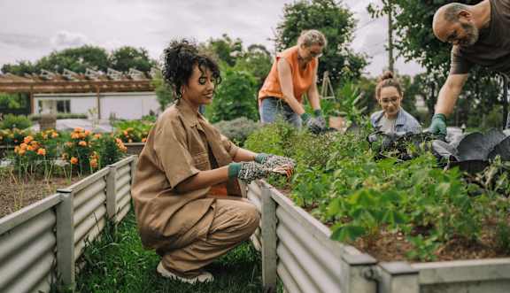 A group of people working in a garden. at Origins Apartments, Cambridge