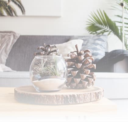 A glass vase with a plant inside sits on a wooden slice table.