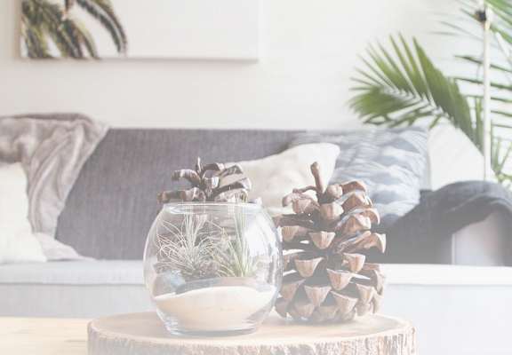 A glass vase with a plant inside is on a wooden table.