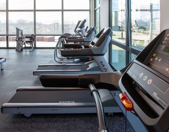 a row of treadmills in a gym with a large amount of windows and other gym equipment