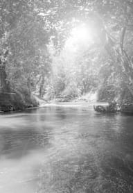 A black and white image of a river with trees on both sides.