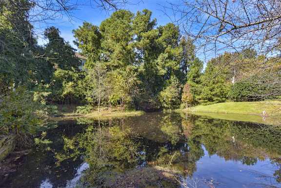 reflection of trees on the water in a pond at Beacon Ridge Apartments, Greenville, SC, 29615