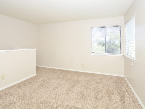 Plush Carpeted Bedroom with White Trim