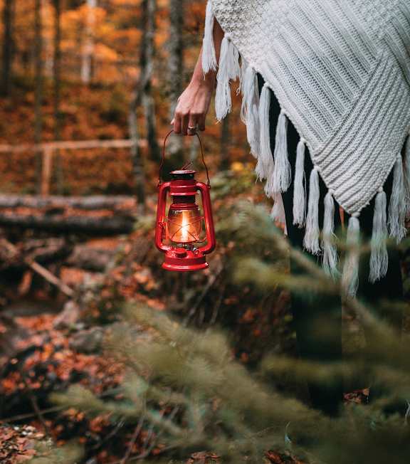 A person is holding a lantern in a forest
