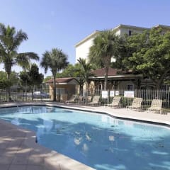 a pool with chairs and palm trees in the background