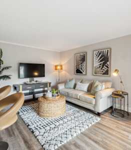 A living room with a white couch, a TV, and a plant.