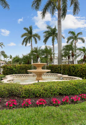 a fountain in a garden with palm trees