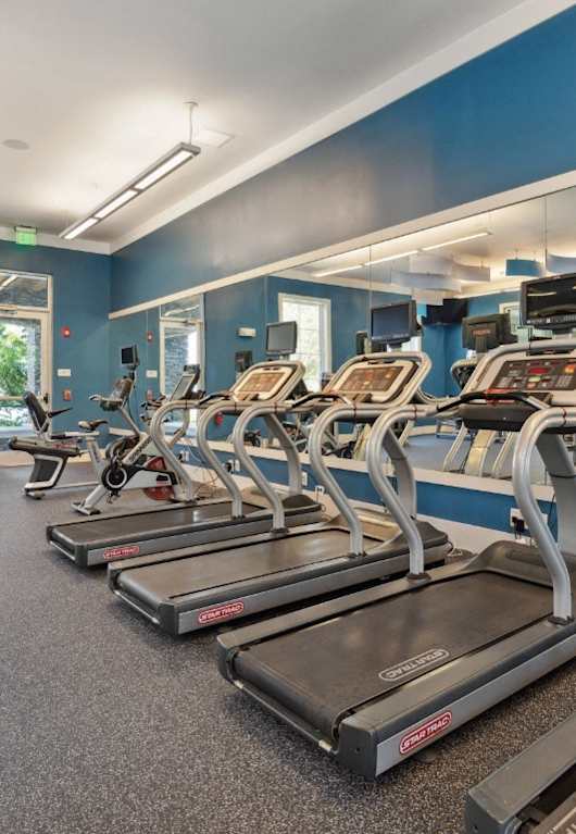 a gym with cardio equipment and exercise machines at Village at Terra Bella Apartments, Land O' Lakes, Florida
