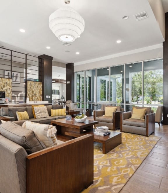 a living room with couches and chairs and a rug at Village at Terra Bella Apartments, Land O' Lakes, Florida