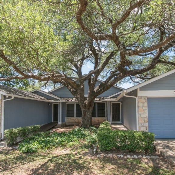 a blue house with a large tree in front of it