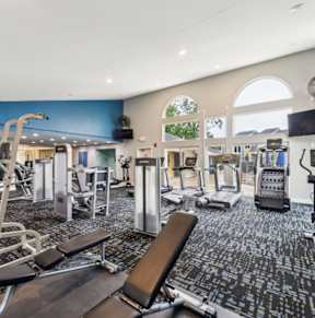 a gym with cardio equipment and large windows at Chinoe Creek Apartments, Lexington, KY, 40502