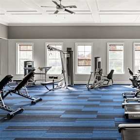 A gym with treadmills, exercise bikes, and other equipment.