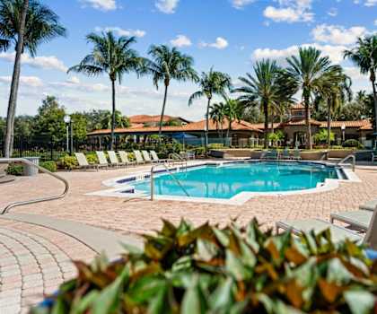 a swimming pool with chairs and palm trees at Via Lugano, Boynton Beach