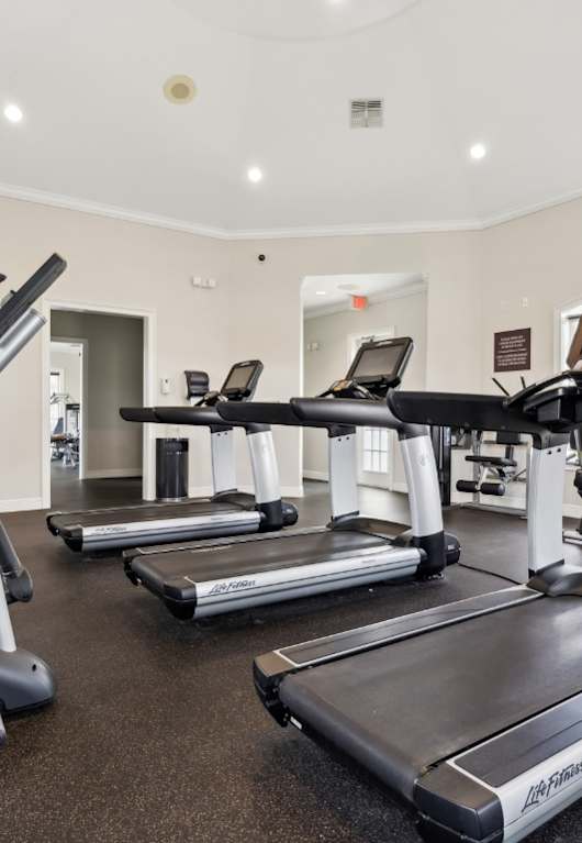 State of the Art Fitness Center at Ballantrae Apartments, Sanford, FL