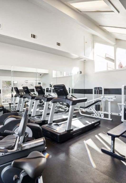 The Gym at Great Hills, Texas