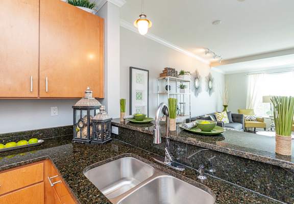 Kitchen at 45 Madison Apartments, Missouri, 64111