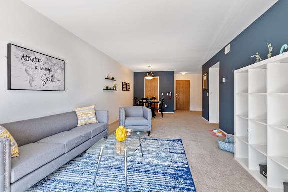 A living room with a grey couch and a blue rug.