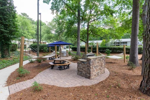 Picnic Area With Grilling Facility at Clarion Crossing Apartments, PRG Real Estate Management, Raleigh