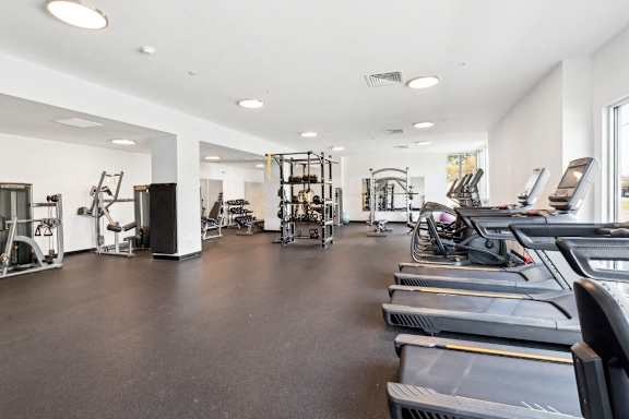 A spacious gym with treadmills, weights, and exercise equipment.