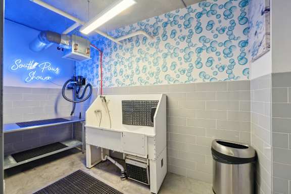 A cleaning machine is in a room with a wallpapered wall.